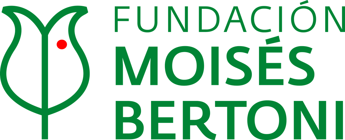 FMB logo verde